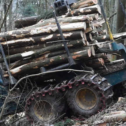 Timber Track Business - Image 8