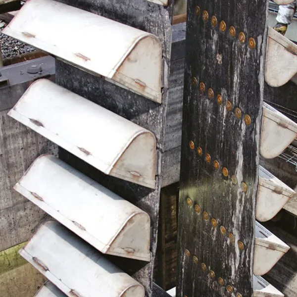 Belt Bucket Elevators