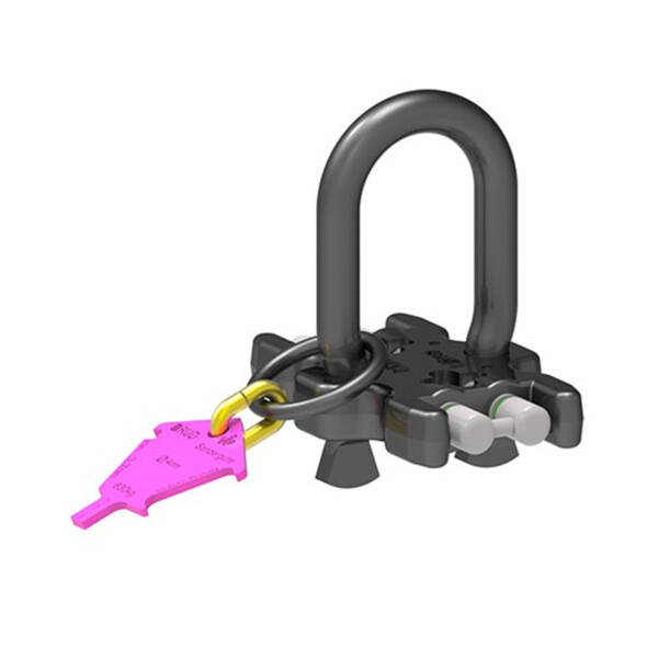VIP Mini-Lifter